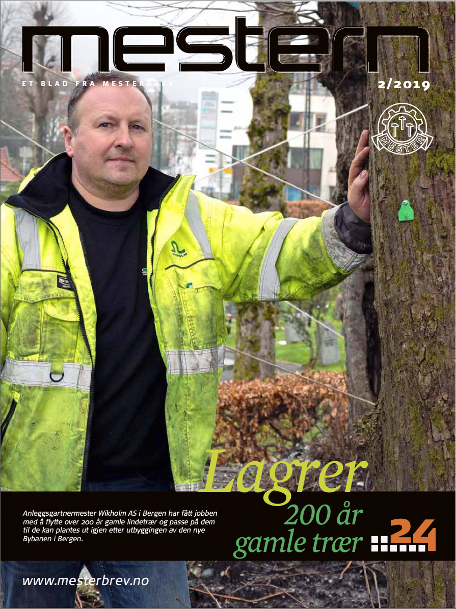 Mestern 2/2019