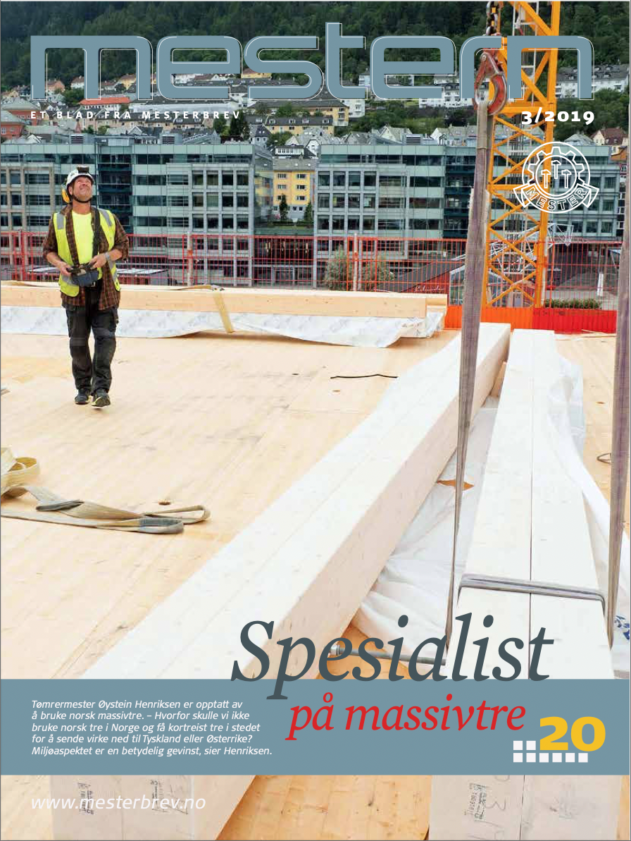 Mestern 3/2019